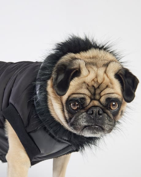 Quilted Hooded Dog Jacket with Pockets - Silver Paws