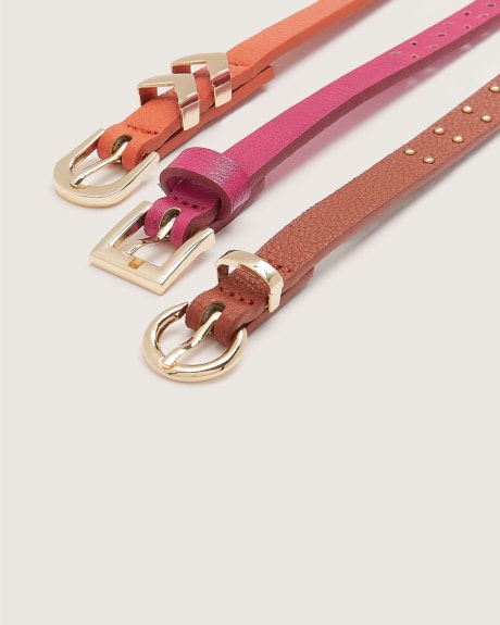 Assorted Colourful Skinny Belts, Set of 3