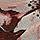 Black AOP -
