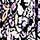 Black-