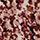 Printed Biking Red-