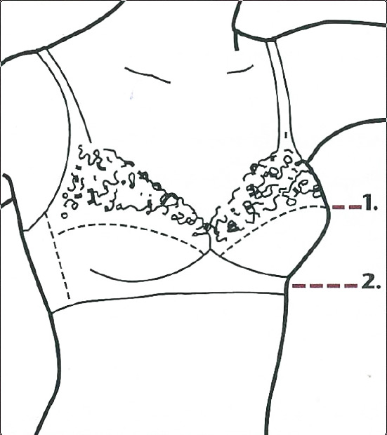 Penningtons Bra Size Chart