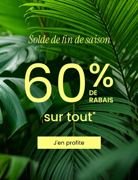 Solde de fin de saison