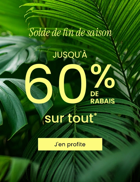 Solde de fin de saison- Jusqu'à 60% DE RABAIS sur tout : Magasinez/>
		</a>
	</div>
</section>


</div>
 
	
        </div>
    
</li>
				
			
            <li class=