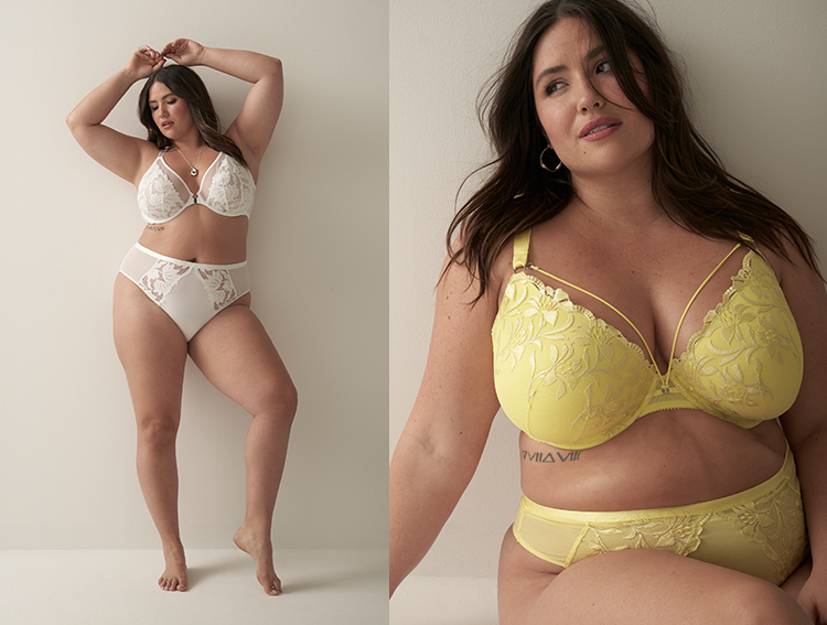 Addition Elle Plus Size Lingerie: Panties, Bras and More